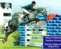 stallion Cruz Forever (Irish Sport Horse, 1992, from Cruising)