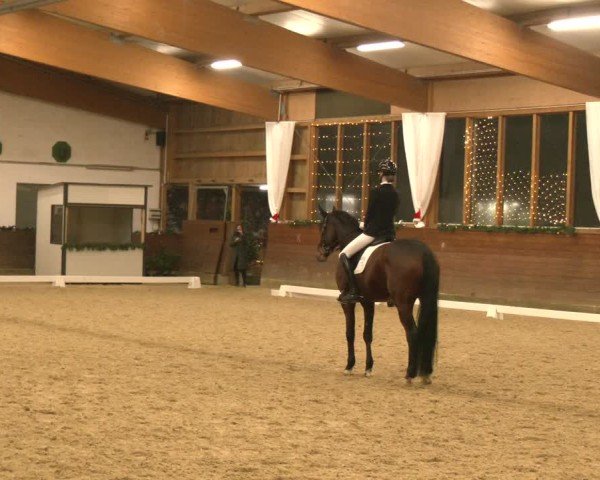 Reitturnier Coesfeld/Lette 2024