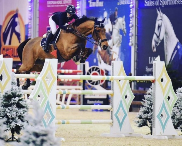 jumper G's Fabian (KWPN (Royal Dutch Sporthorse), 2010, from Gaillard de La Pomme)