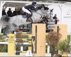 jumper Kiliman Sitte (Belgium Sporthorse, 2016, from Comme il Faut)