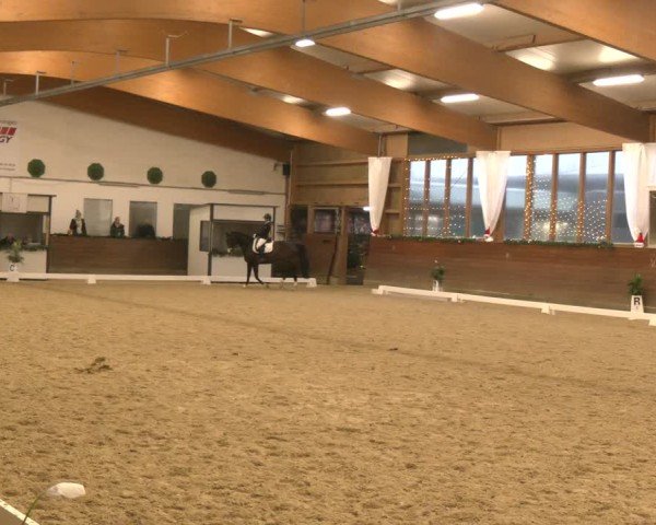 Reitturnier Coesfeld/Lette 2024