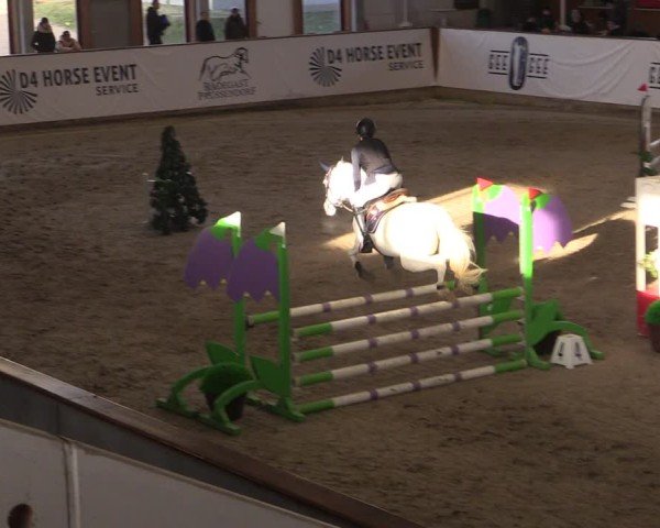 Reitturnier Prussendorf 2024