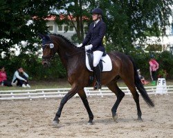 dressage horse Rock Your Dreams (Bavarian, 2013, from Rock Forever NRW)