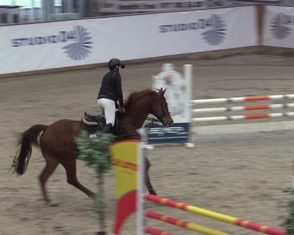 Reitturnier Prussendorf 2024