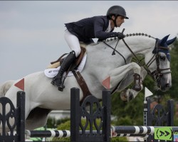 jumper Talina du Vivier Z (Zangersheide riding horse, 2015, from Taalex)