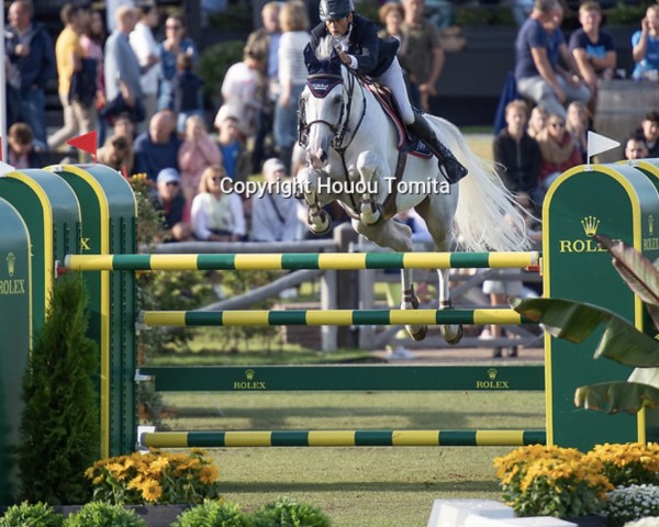 jumper Artiste Mury Marais Z (Zangersheide riding horse, 2014, from Aktion Pur Z)