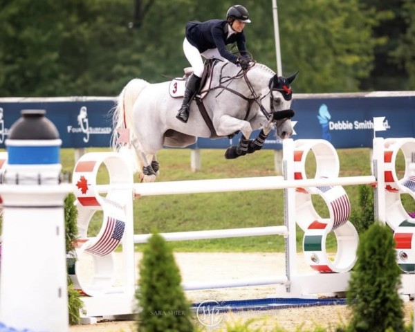 Springpferd Clockibou of Greenhill Z (Zangersheide Reitpferd, 2014, von Clockwise of Greenhill Z)