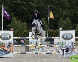 jumper Condor de Laubry Z (Zangersheide riding horse, 2016, from Cornet Obolensky)