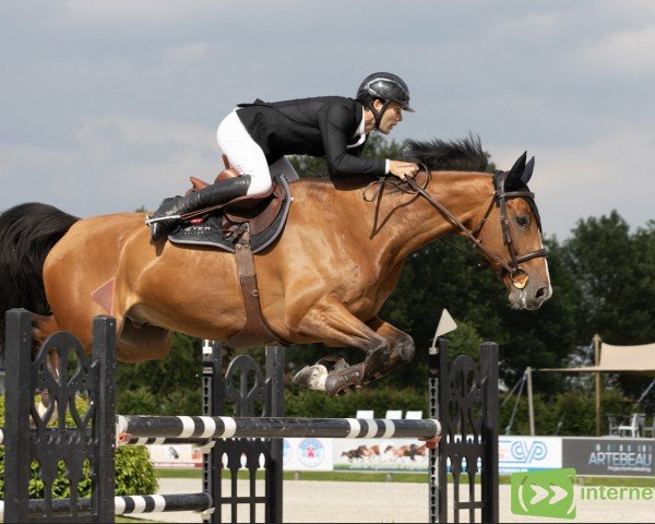 jumper Defi de Boisy (Selle Français, 2013, from Lando)