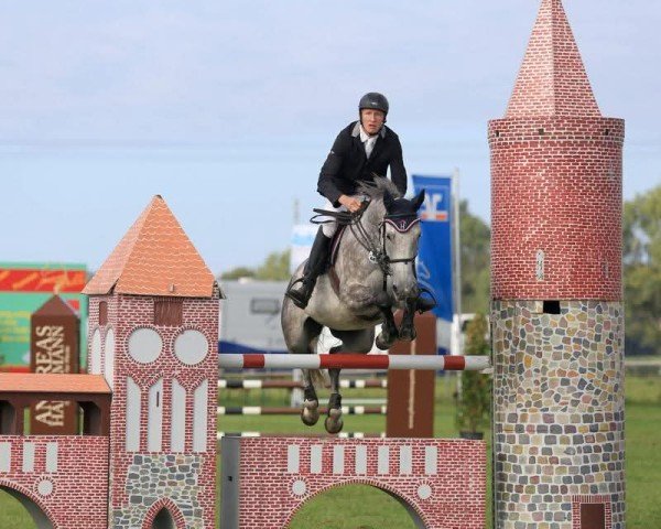 jumper Picasso 776 (German Sport Horse, 2006, from Pessoa VDL)