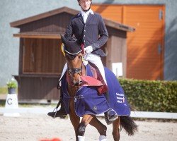 dressage horse Beatrix 35 (German Sport Horse, 2021, from Bonds)