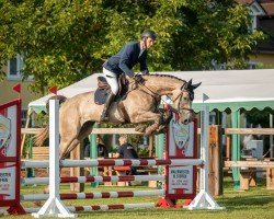 jumper All the Scope E (German Sport Horse, 2017, from Aganix du Seigneur)