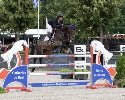 jumper Ira-T-Elle des 7 Vallons (Belgium Sporthorse, 2014, from Comme il Faut)