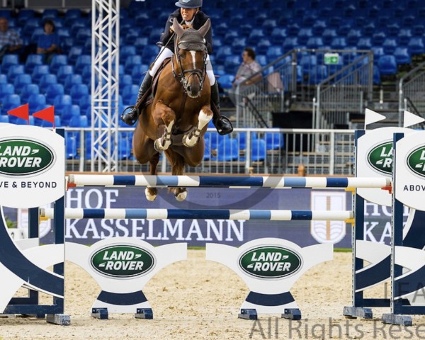 jumper Eyecatcher BB Z (Zangersheide riding horse, 2014, from Emerald van 't Ruytershof)