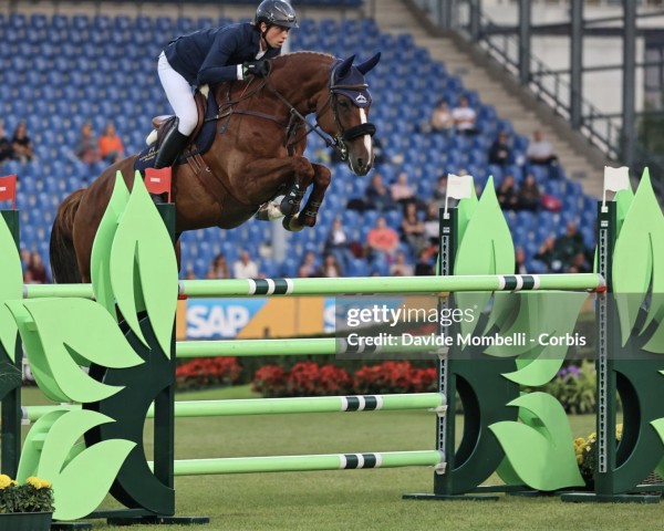 jumper Dinaga (Zangersheide riding horse, 2014, from Dieu-Merci van T&L)