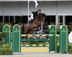 Springpferd Jump For Joy (Holsteiner, 2014, von Cascadello)