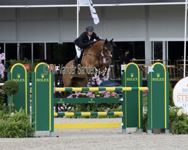 jumper Ovanna DW (Belgian Warmblood, 2014, from Jamal Vd Heffinck)