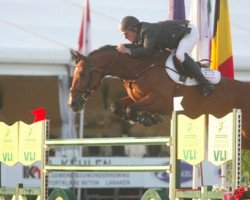 broodmare Aagaardens Elina (Danish Warmblood, 2002, from Concorde)