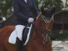 dressage horse Susi (Hanoverian, 2020, from Sezuan)