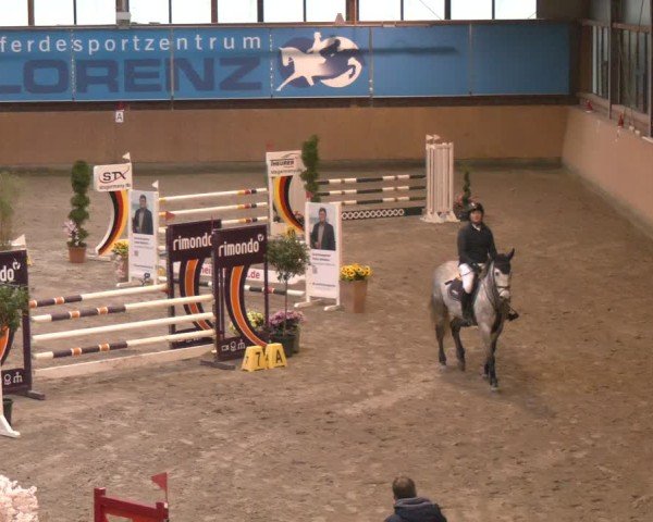 Reitturnier Osterholz-Scharmbeck 2024