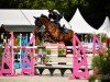 jumper Casco 18 (Oldenburg show jumper, 2016, from Casallco)