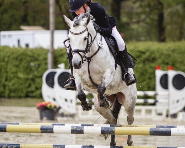 jumper Little Mary Poppins (German Riding Pony, 2018, from Del Piero 25)