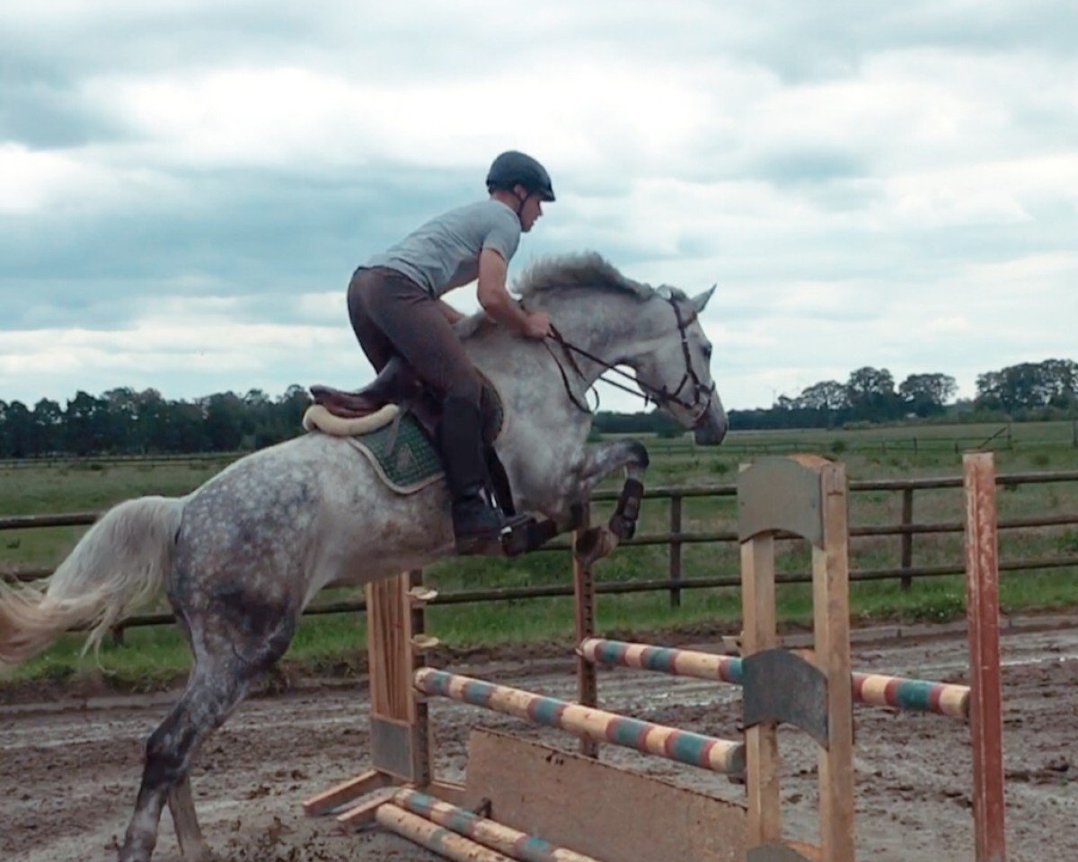 broodmare Fleur Lu (Holsteiner, 2013, from Contendro I)
