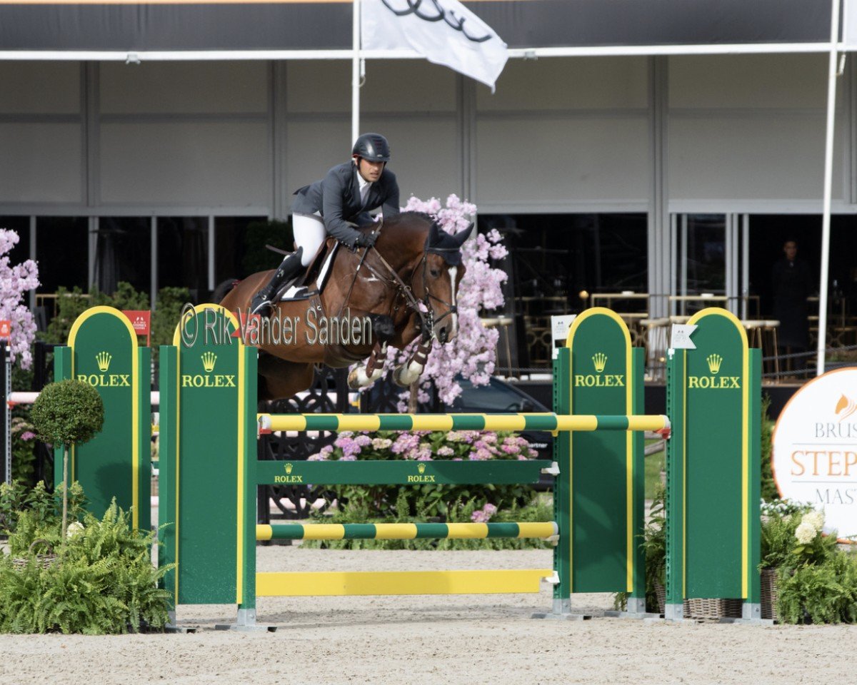 jumper Classified Sr (Holsteiner, 2014, from Casall Ask)