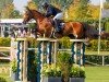 jumper Origi van de Zeshoek (Belgian Warmblood, 2014, from Marius Claudius)