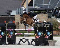 jumper Heavy Plot (KWPN (Royal Dutch Sporthorse), 2012, from Plot Blue)