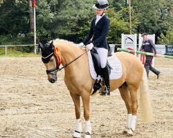 dressage horse Repelerhofs Dorfrocker (German Riding Pony, 2019, from Dimension AT NRW)