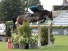 stallion Conthinder (Oldenburg show jumper, 2011, from Conthargos)