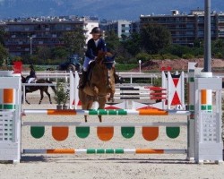 jumper Sanson de La Vallee (Selle Français, 2006, from Gentleman IV)