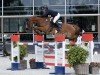 Springpferd Itcho van 't Ruytershof (Belgisches Warmblut, 2008, von Lord Z)