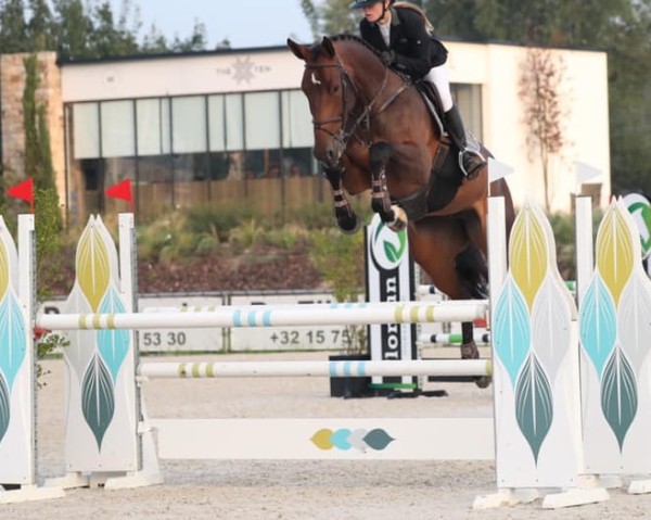 jumper Lagrande E (KWPN (Royal Dutch Sporthorse), 2016, from Grandorado TN)