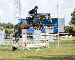 jumper Cyra 83 (Hanoverian, 2016, from Cloney)