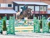 jumper Angara L (Hanoverian, 2013, from Christian 25)