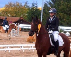 dressage horse Delano 134 (German Riding Pony, 2018, from D-Power AT)