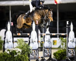 jumper Jiselle Ns (KWPN (Royal Dutch Sporthorse), 2014, from Balou du Rouet)