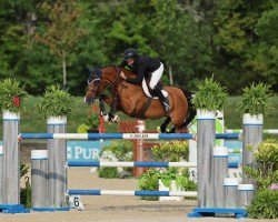 jumper Fleur-De-Lis' Cherie (KWPN (Royal Dutch Sporthorse), 2012, from Clarimo Ask)