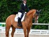 dressage horse Butterfly (Hanoverian, 2009, from Belissimo NRW)