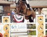 jumper Sade de Rialfo Z (Zangersheide riding horse, 2016, from Stakkato Gold)