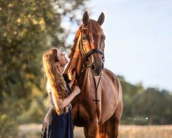 dressage horse Florence HS (Oldenburg, 2018, from Fuechtels Floriscount OLD)