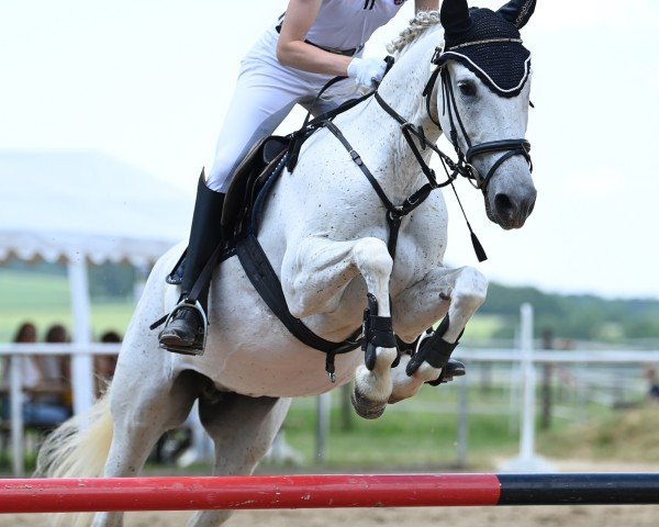 jumper El Rocio (unknown, 2008)