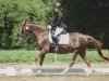 dressage horse Romiro 13 (German Riding Pony, 2004, from Oosteinds Ricky)