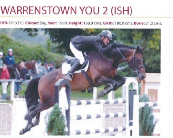 stallion Warrenstown You 2 (Irish Sport Horse, 1998, from Narcos II)