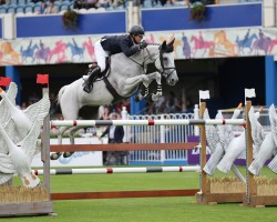 Springpferd Out of The Blue Scf (Belgisches Warmblut, 2014, von Verdi)