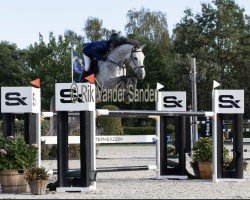 Springpferd Madiva (KWPN (Niederländisches Warmblut), 2017, von Cape Coral Rbf Z)