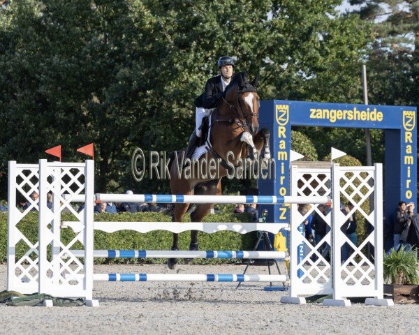 jumper Rimini van Orti (Belgian Warmblood, 2017, from Toulon)