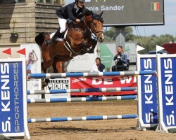 jumper Milana van de Nianahoeve (Belgian Warmblood, 2012, from Inshallah de Muze)